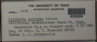 Image Associated With the Occurence
